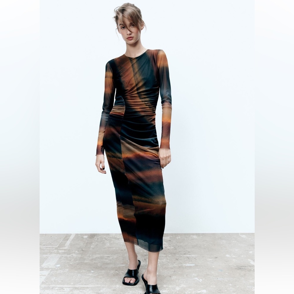 Zara Printed Tulle Dress, BNWT Size S